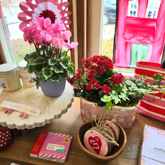 FRESH Arrivals - Fresh flowers and houseplants now in store!