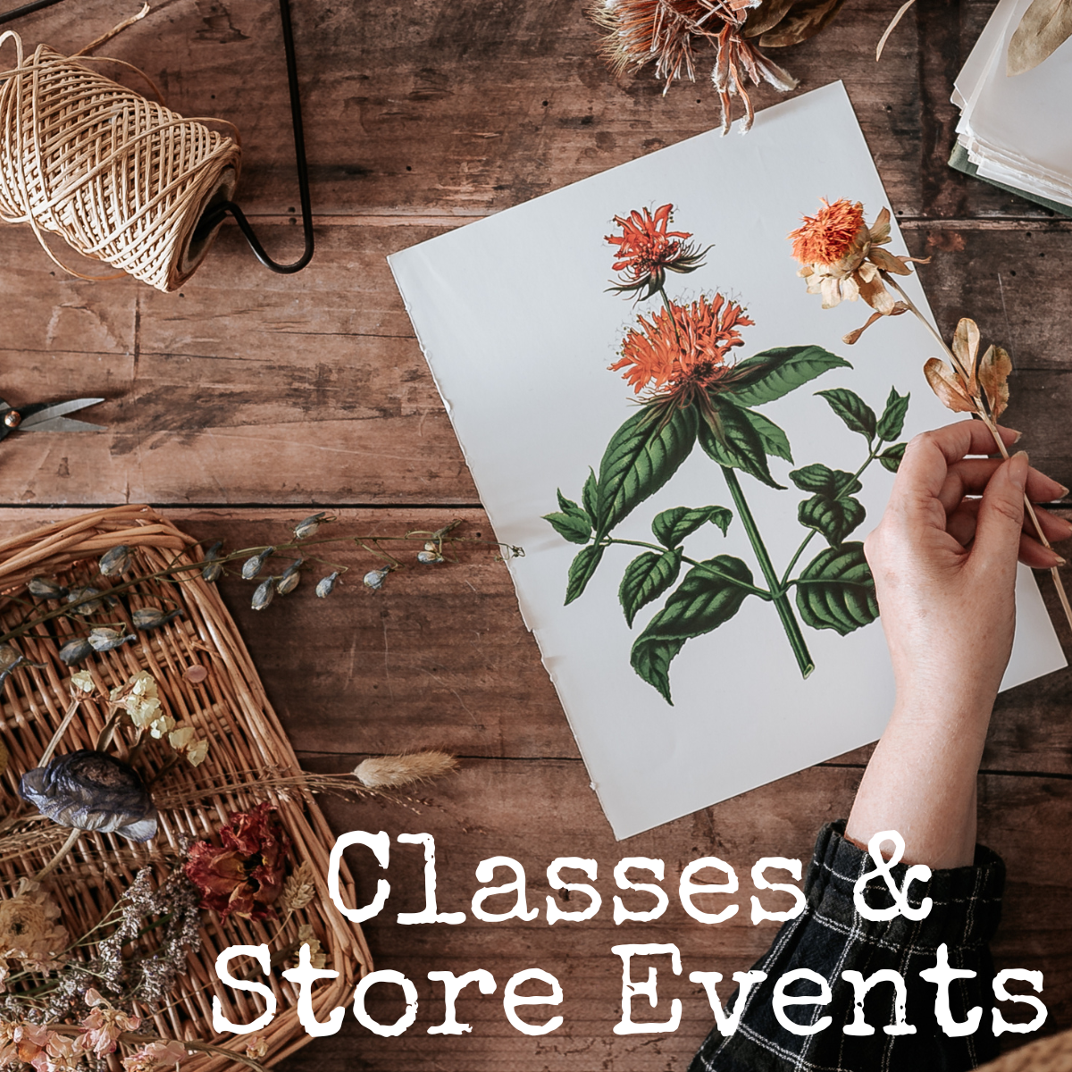 Classes & Store Events