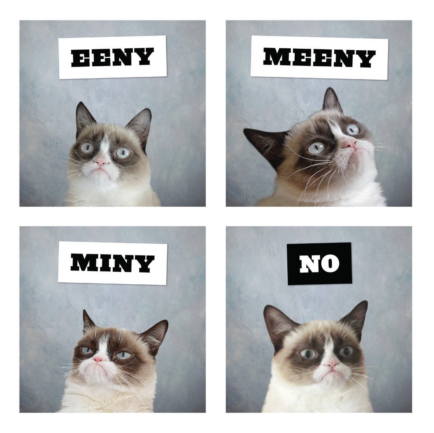 Grumpy Cat 2026 Wall Calendar