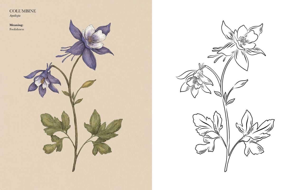 Floriography Coloring Book by Jessica Roux