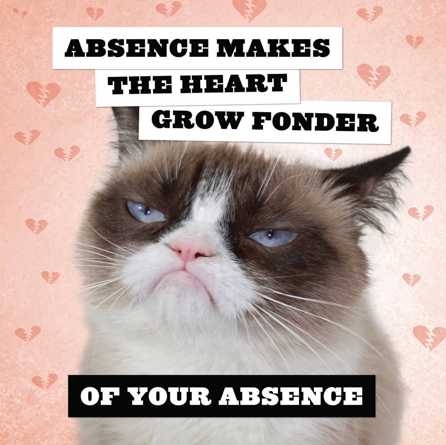 Grumpy Cat 2026 Wall Calendar