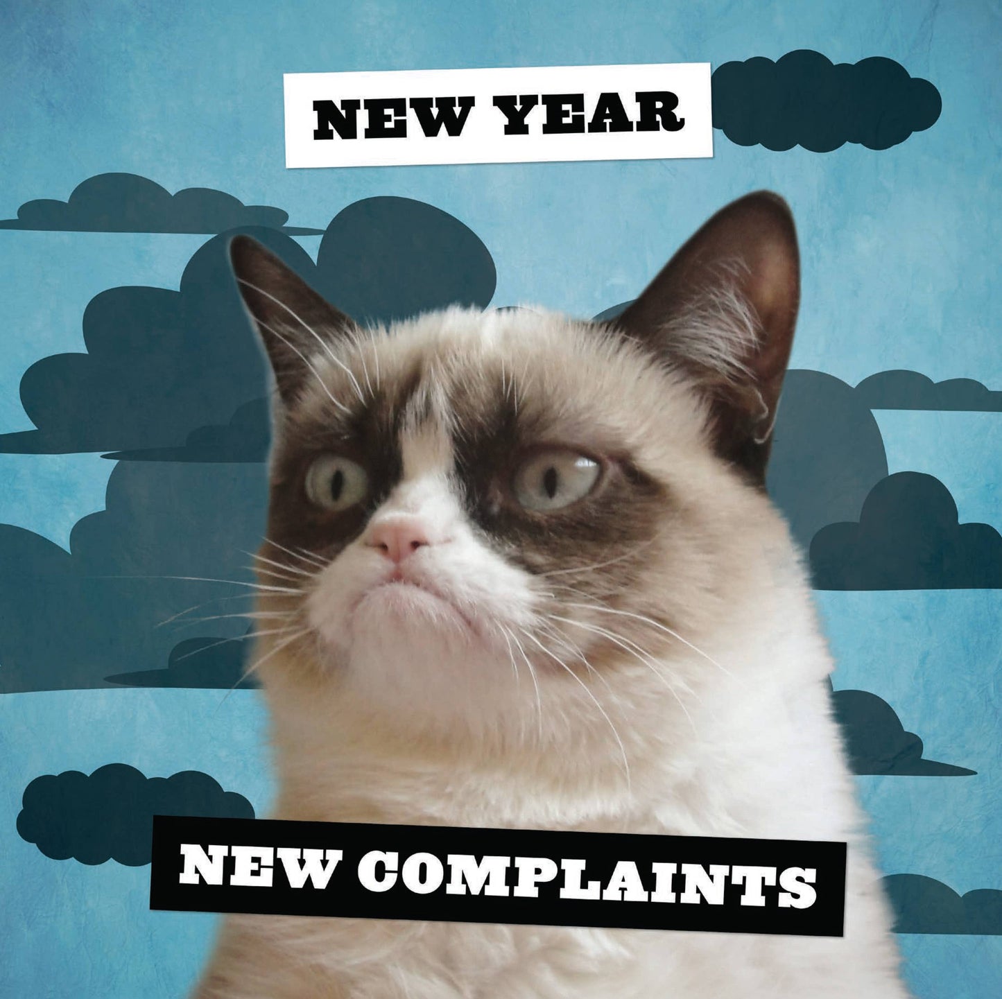 Grumpy Cat 2026 Wall Calendar
