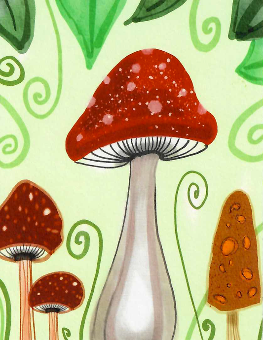 Mushrooms and Fiddleheads Note Card