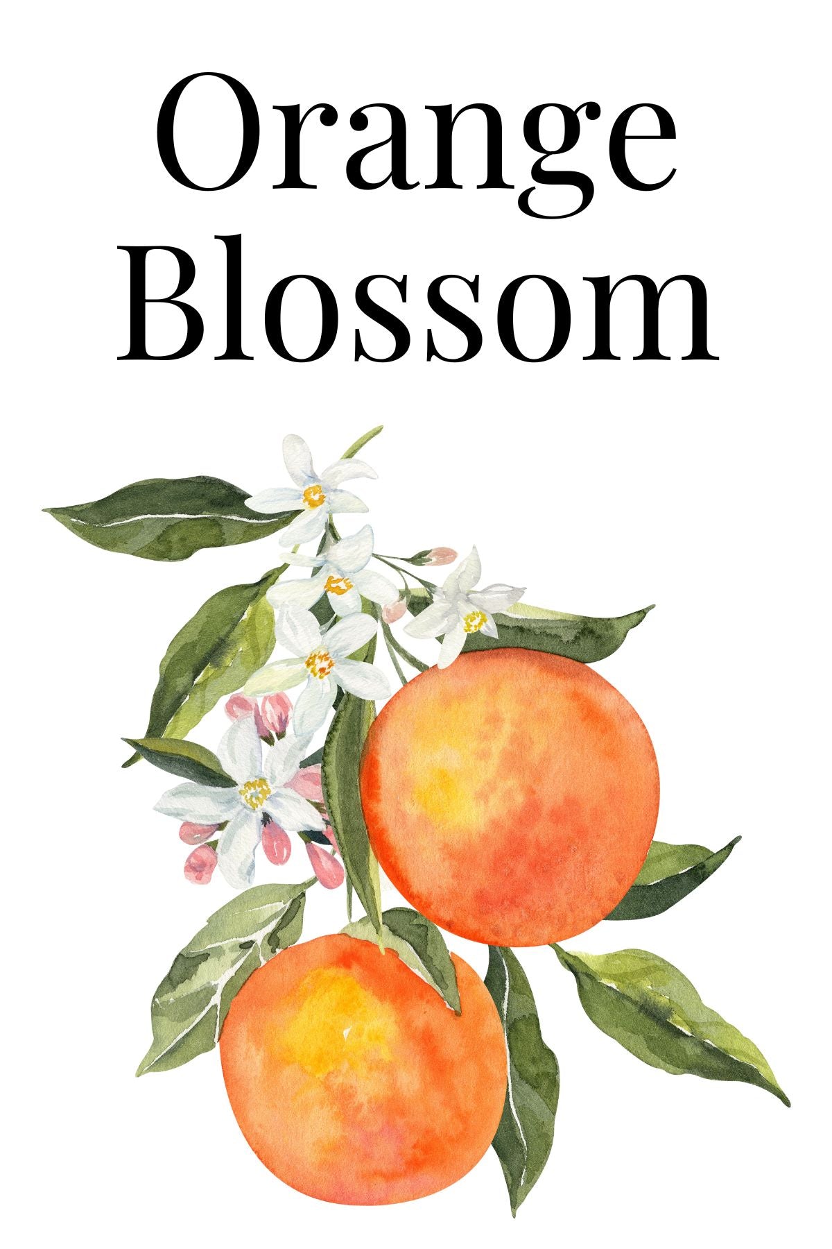 Orange Blossom Hand-Poured Soy Wax Candle, 6 oz