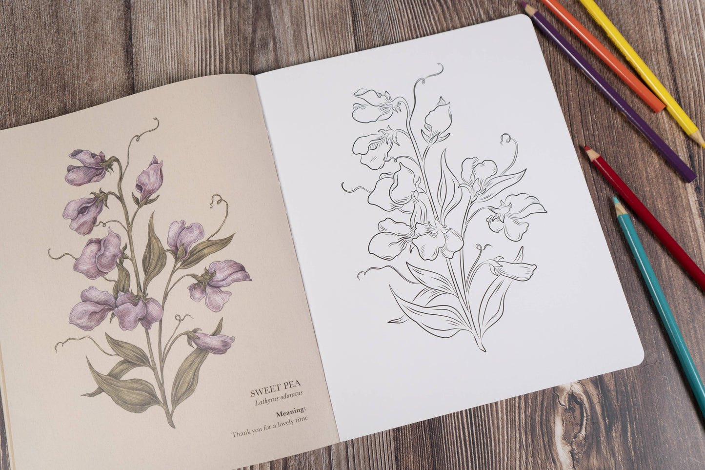 Floriography Coloring Book by Jessica Roux