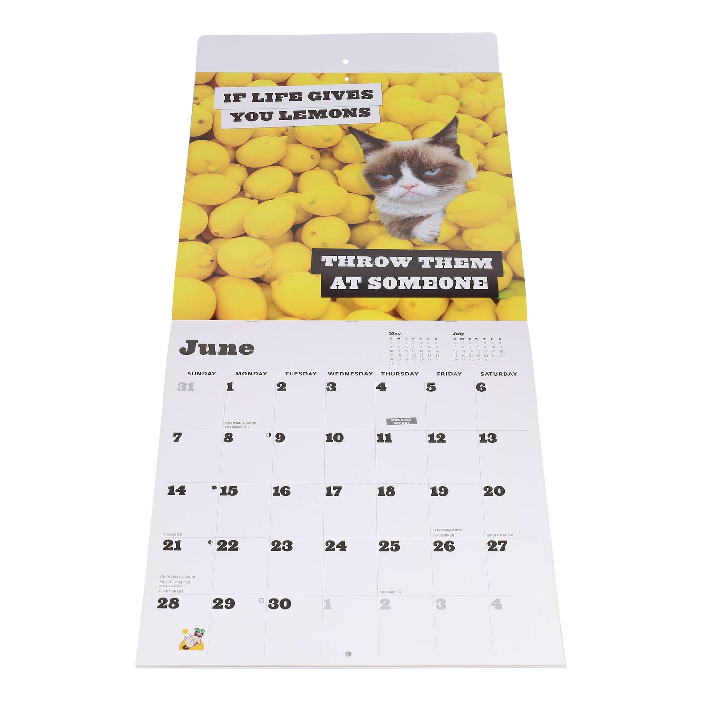 Grumpy Cat 2026 Wall Calendar